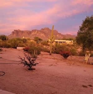 Meet your Posher, Leslie